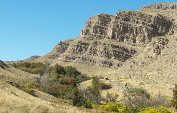 پارک ملی تندوره در کجا واقع شده و چه ویژگی هایی دارد؟